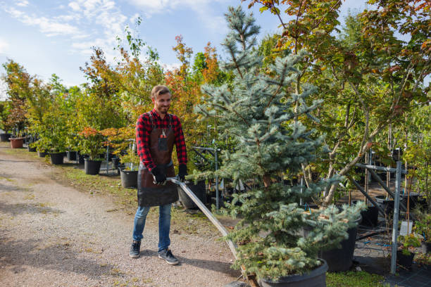 Best Hazardous Tree Removal  in Kohler, WI